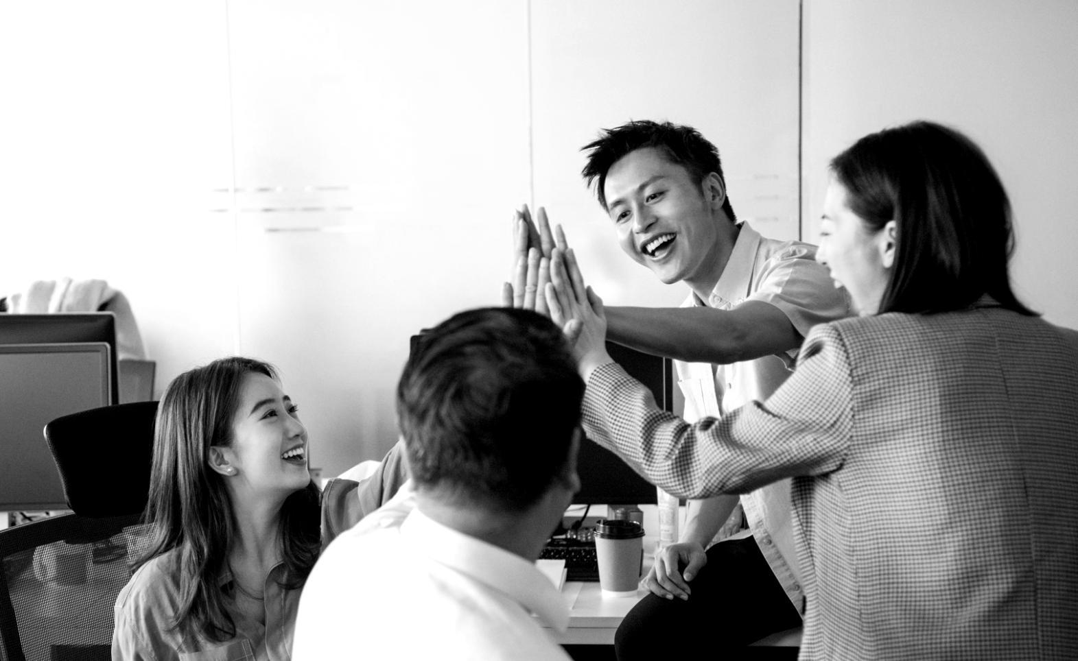 Online-Lernumgebung für SEO-Kurse mit interaktiven Tools